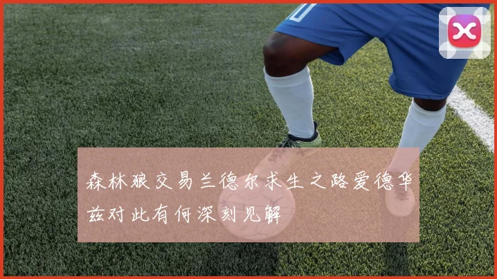 森林狼交易兰德尔求生之路爱德华兹对此有何深刻见解